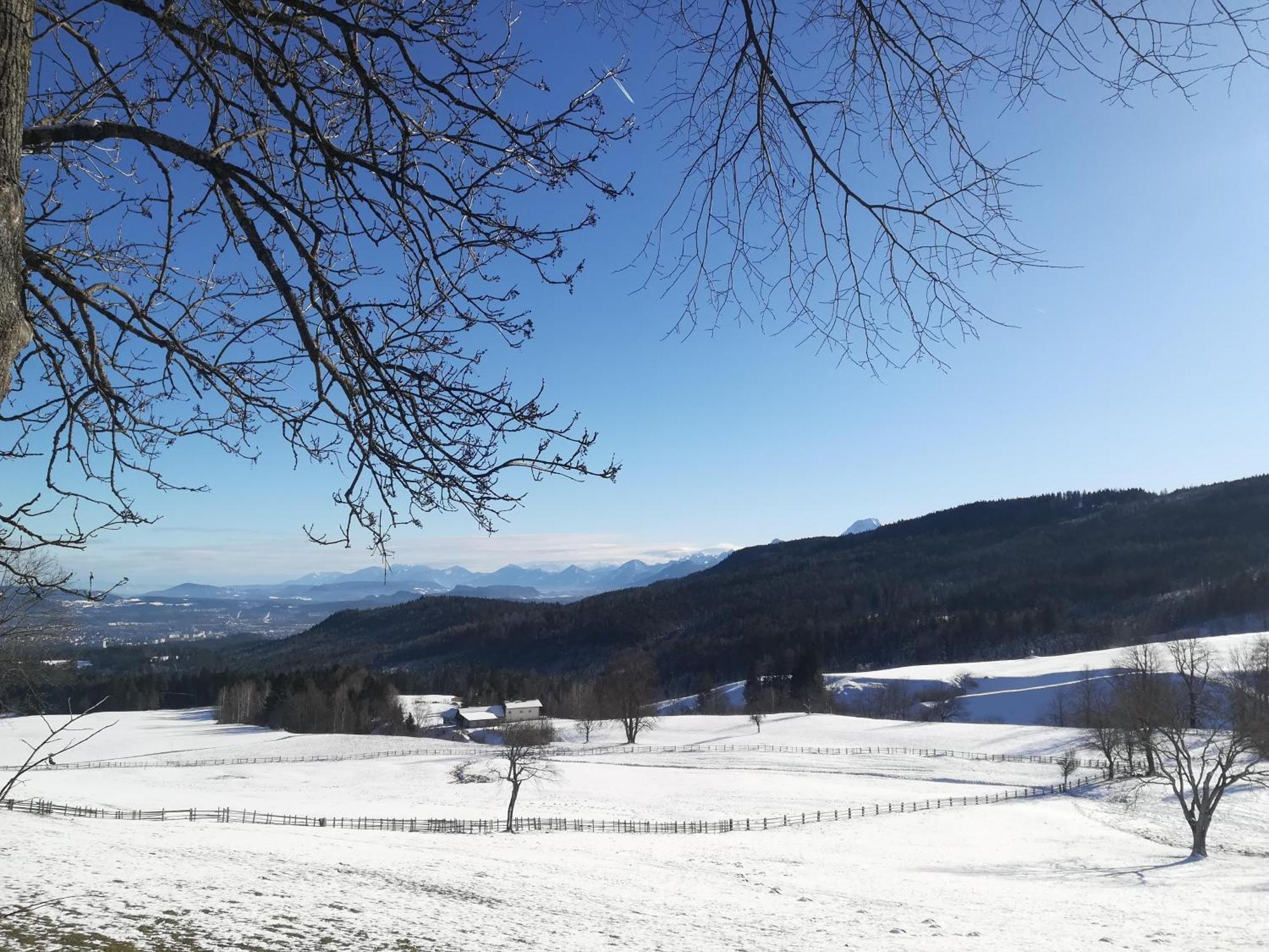 Casableiberg - Garten Apartment - Naturpark Dobratsch Bad Bleiberg Eksteriør billede